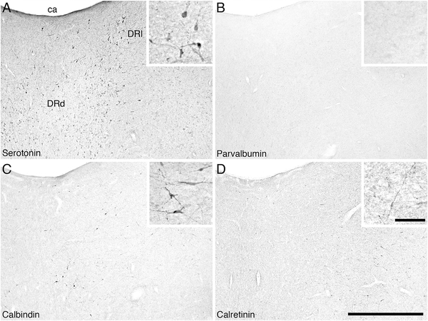 Figure 13.