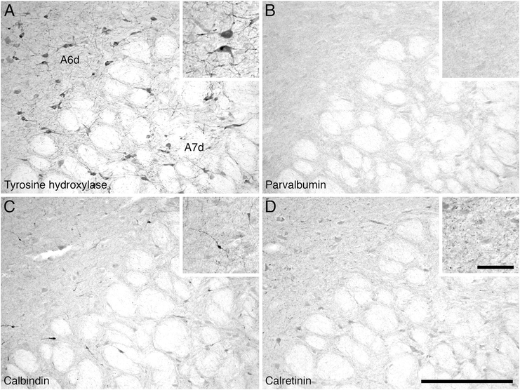 Figure 12.