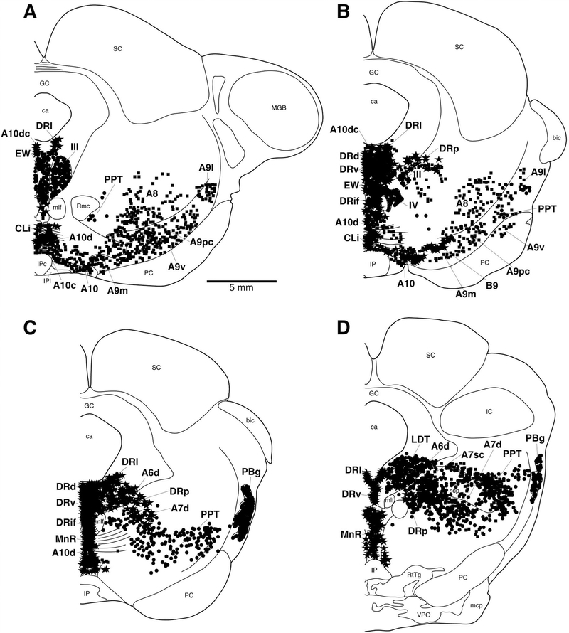 Figure 7.