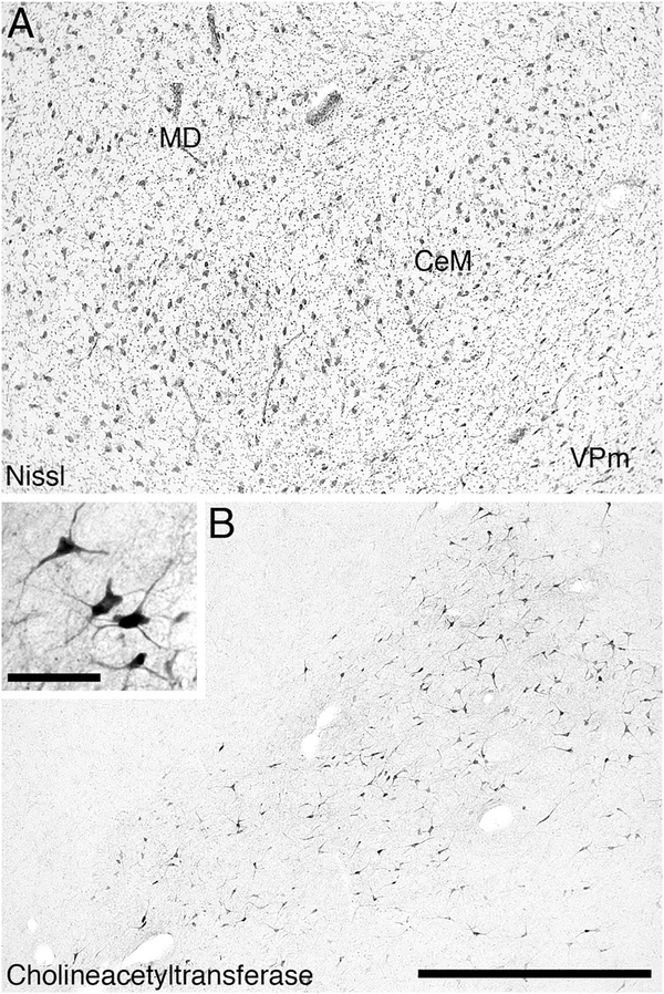 Figure 10.