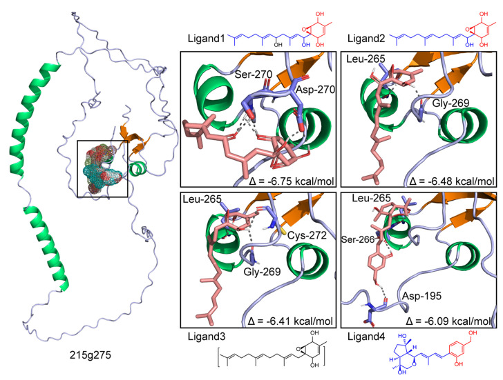 Figure 10