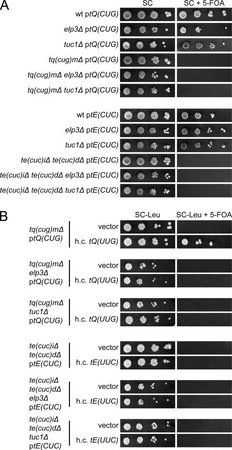 FIG. 4.