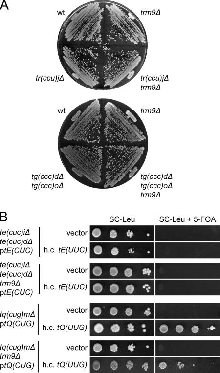 FIG. 6.