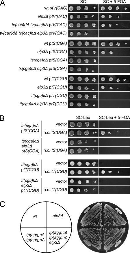 FIG. 5.