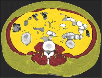 Fig. 2