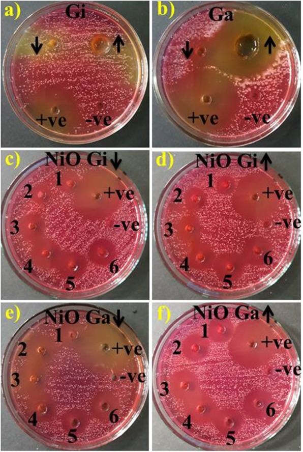 Fig. 9