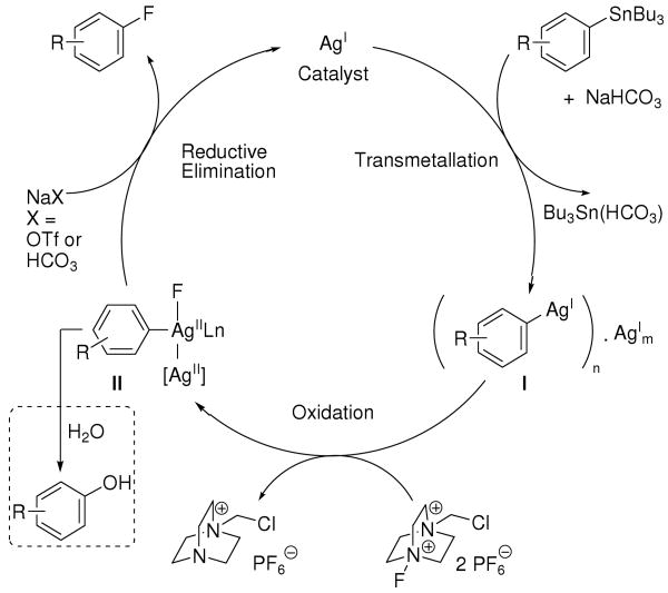 Scheme 2