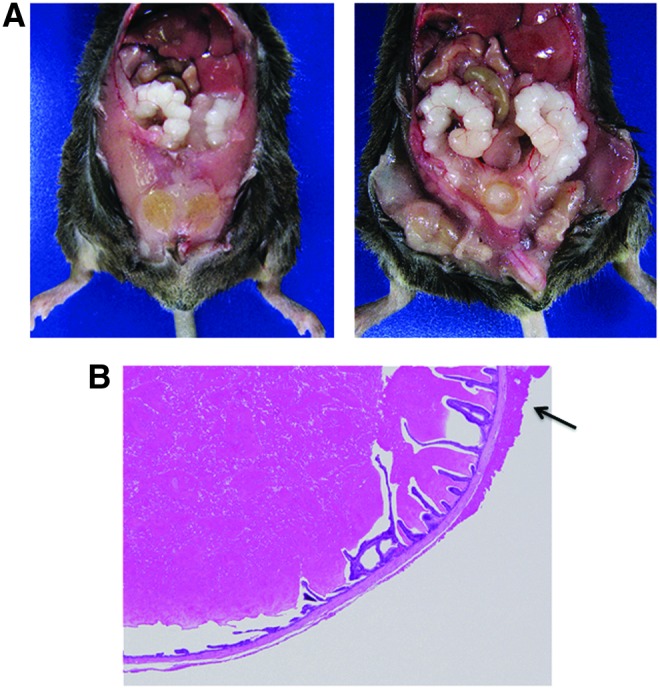 FIG. 5.