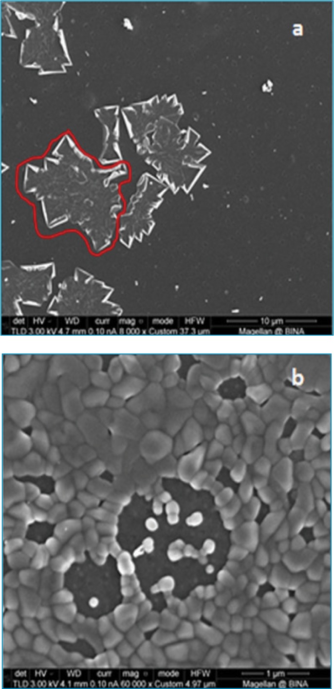 FIGURE 2.