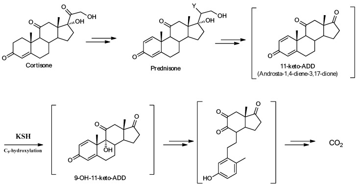 Scheme 2