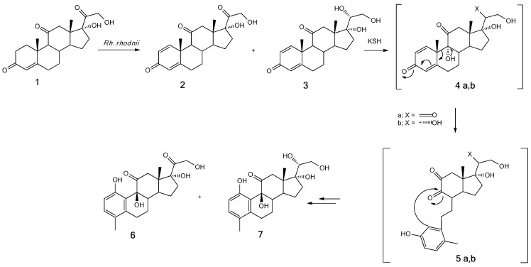 Scheme 1