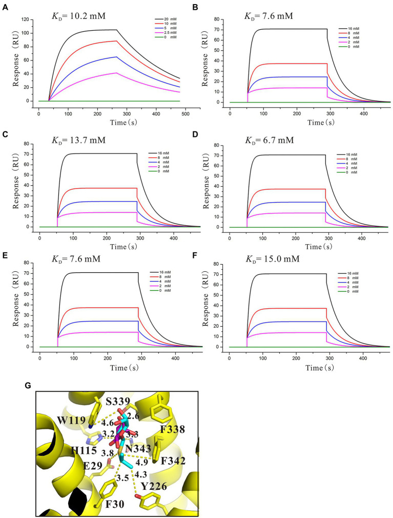 Figure 5