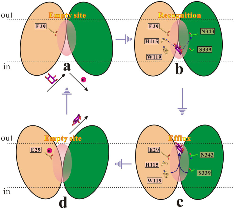 Figure 9