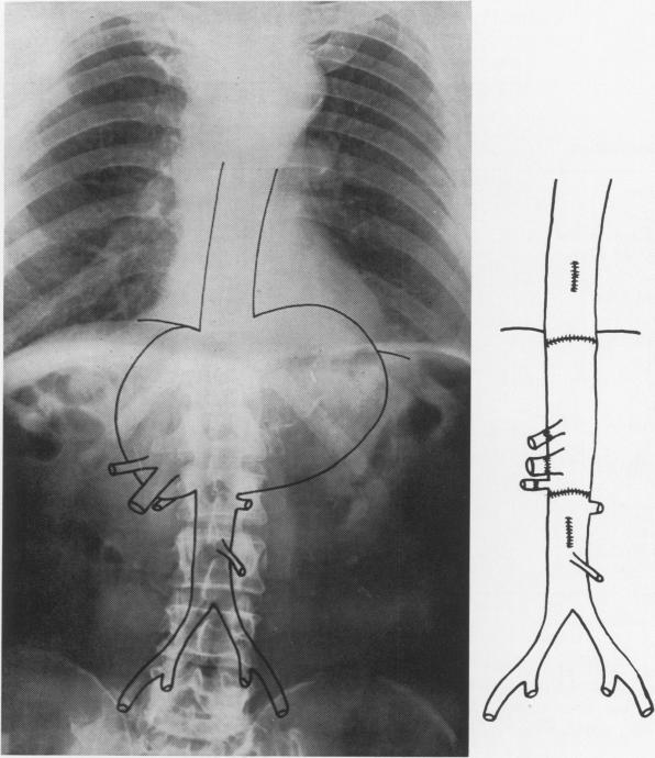 Fig. 9.