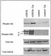 FIG. 9.