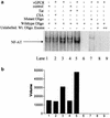 FIG. 8.