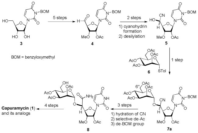 Scheme 1