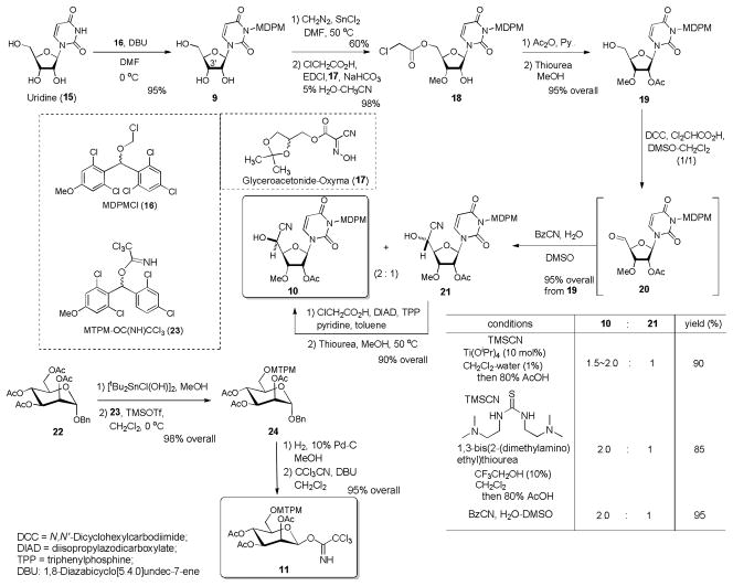 Scheme 3