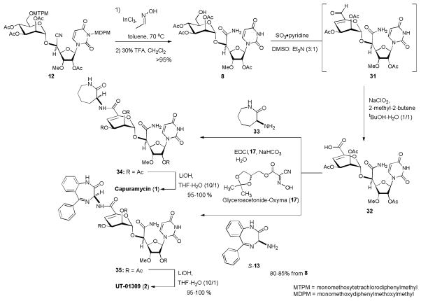 Scheme 6