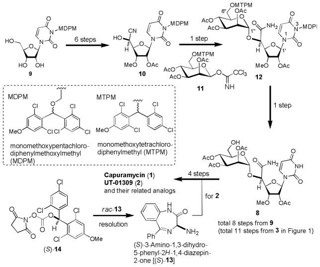 Scheme 2