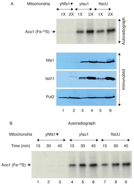 Figure 10