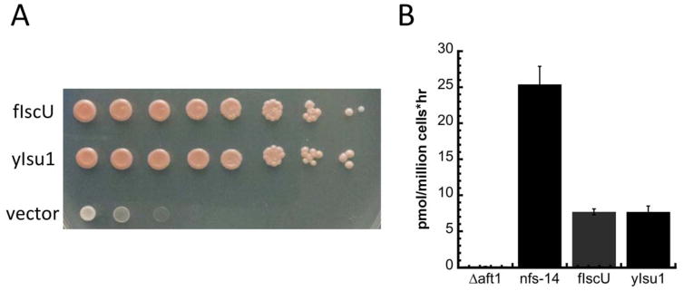 Figure 9