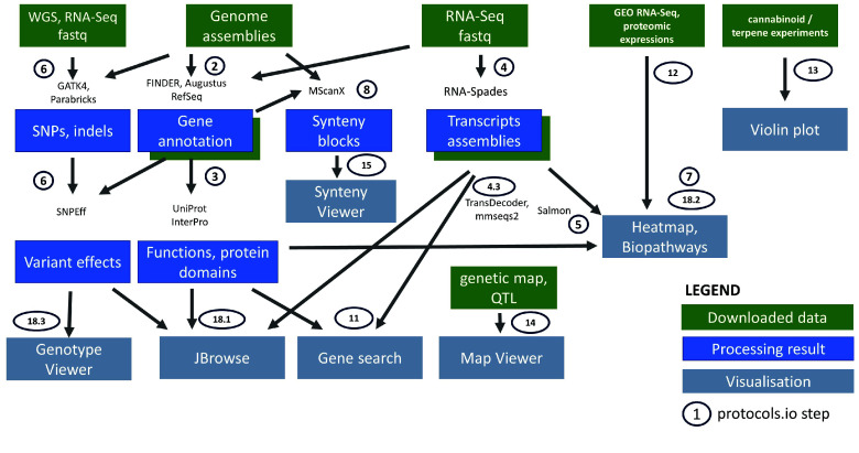 Figure 1.