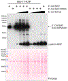 Figure 3: