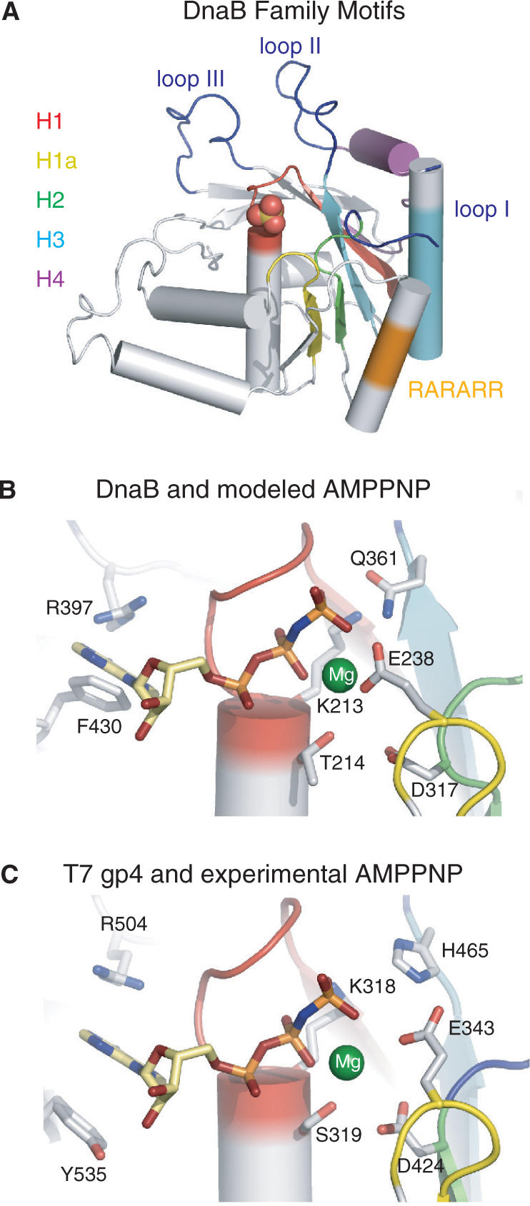 Figure 3.