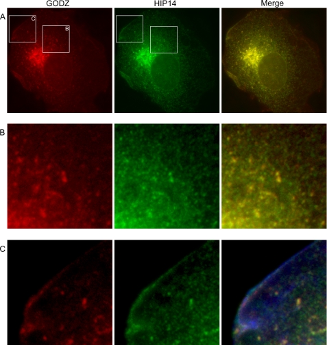 FIGURE 3.