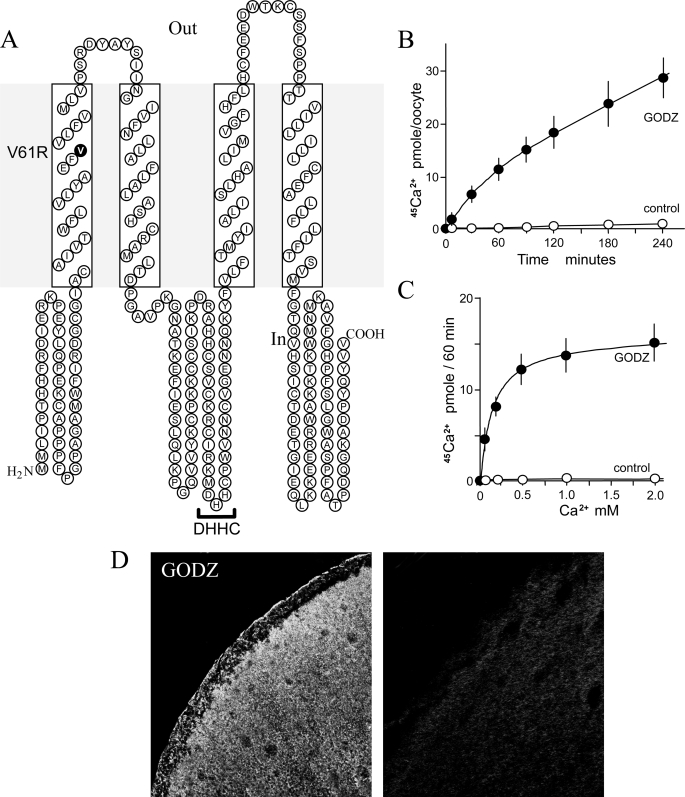 FIGURE 1.