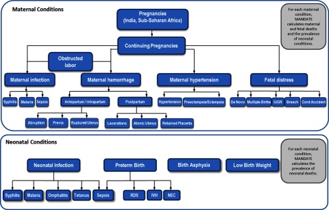 FIGURE 1.