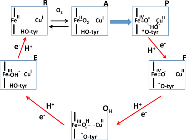 Fig. 4