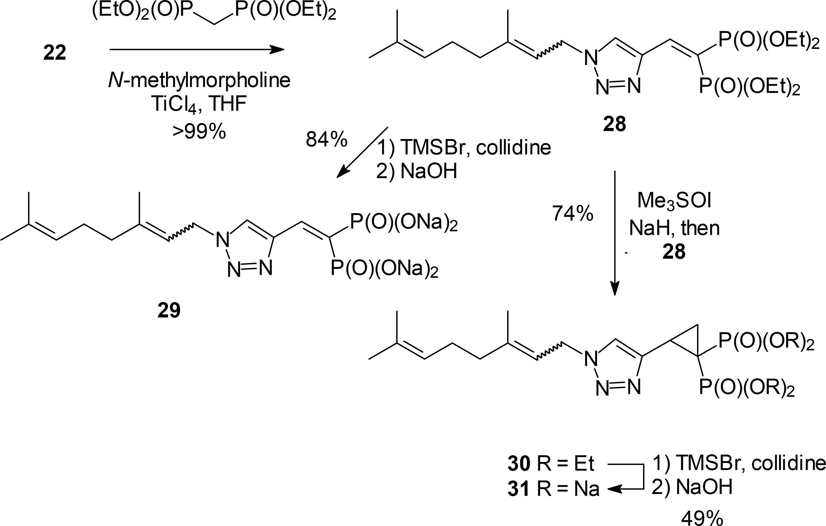 Scheme 4.