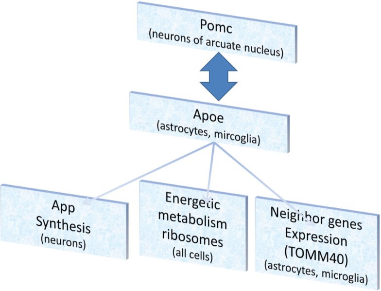 Figure 6: