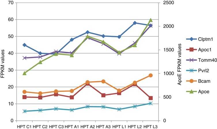 Figure 5: