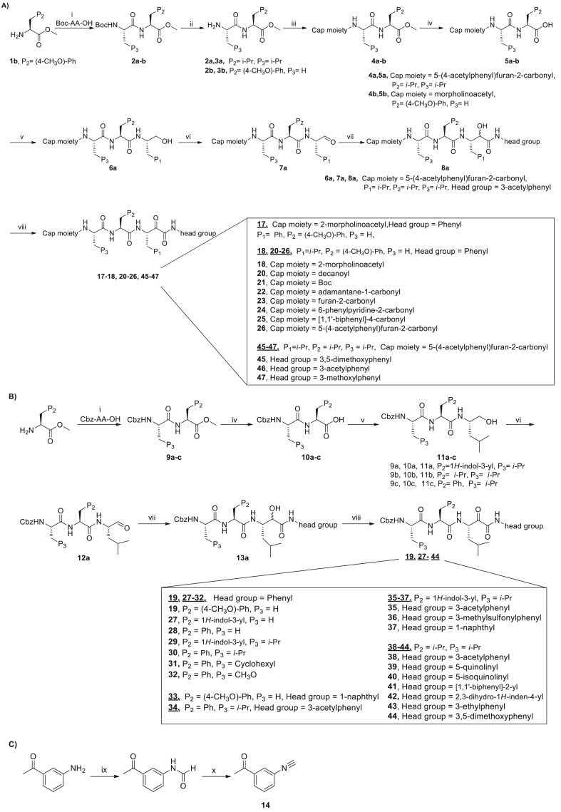 Scheme 1