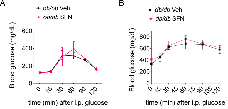 Figure 5—figure supplement 1.