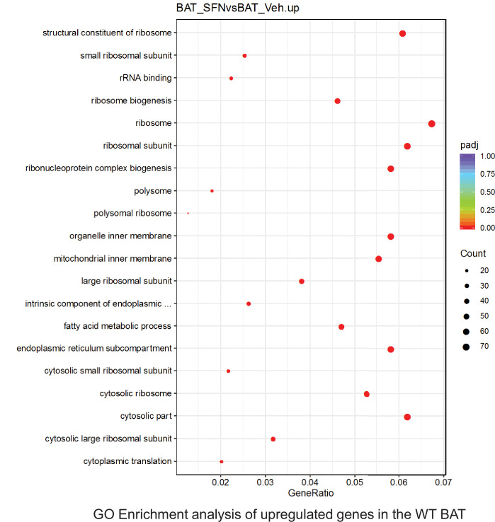 Figure 6—figure supplement 36.