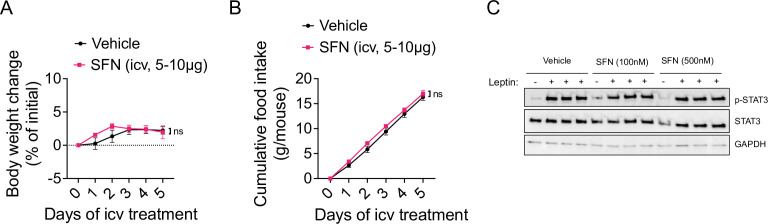 Figure 5—figure supplement 2.