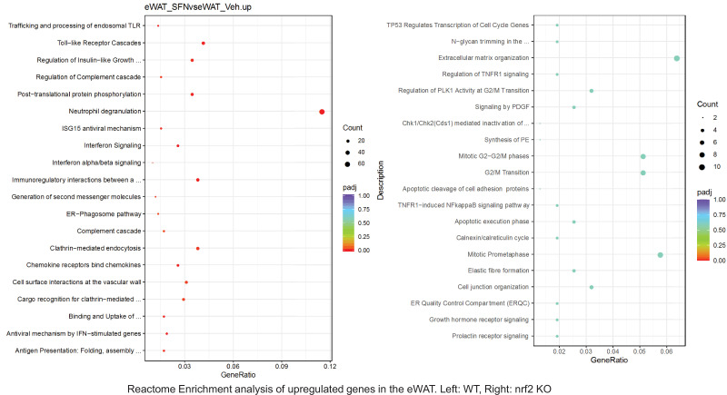 Figure 6—figure supplement 22.