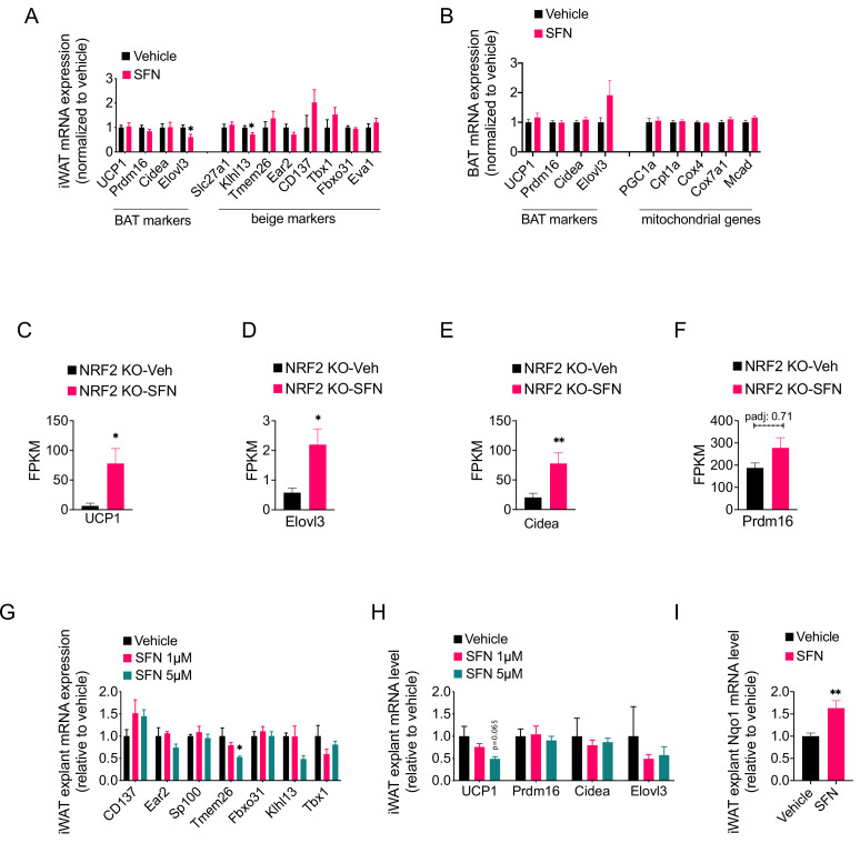 Figure 4—figure supplement 2.