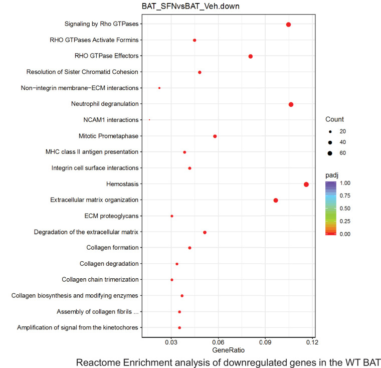 Figure 6—figure supplement 35.