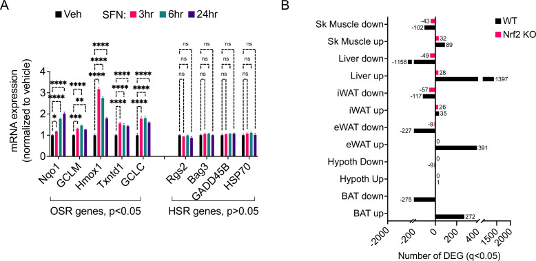 Figure 5—figure supplement 3.