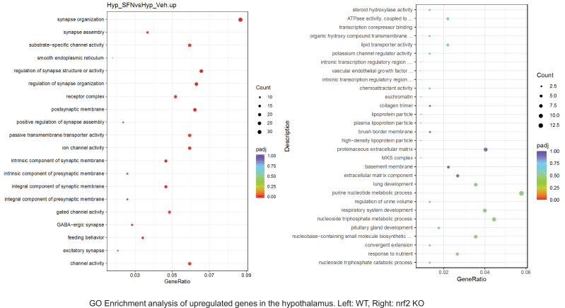 Figure 6—figure supplement 30.