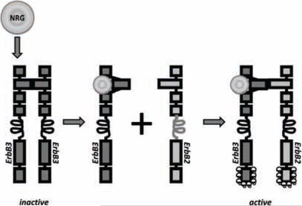 Fig. (4)