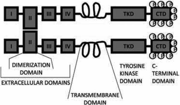 Fig. (3)