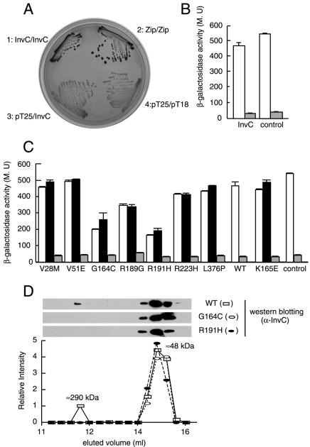 FIG. 6.