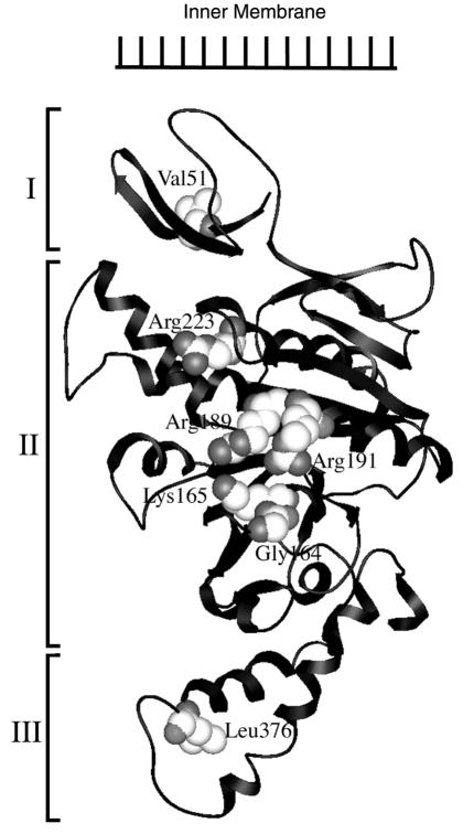 FIG. 8.