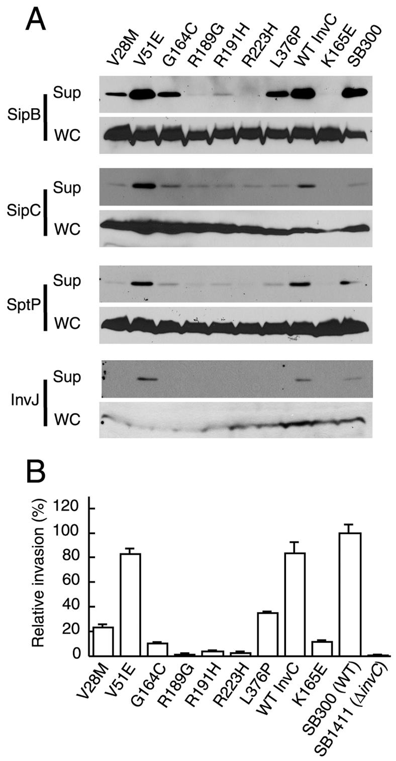 FIG. 7.